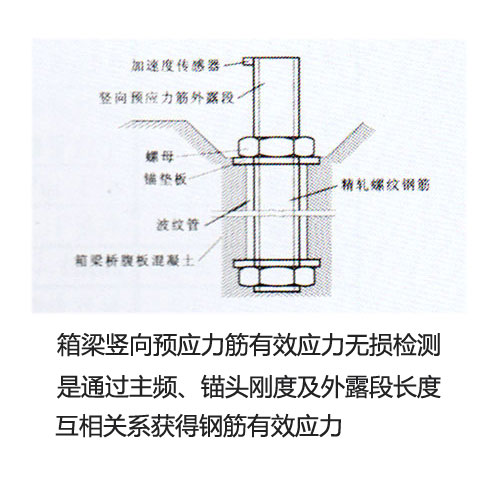 箱梁竖向预应力筋有效应力无损检测